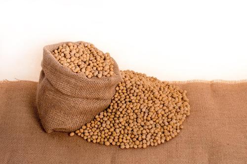 soybeans-g2c02018dc_1920.jpg